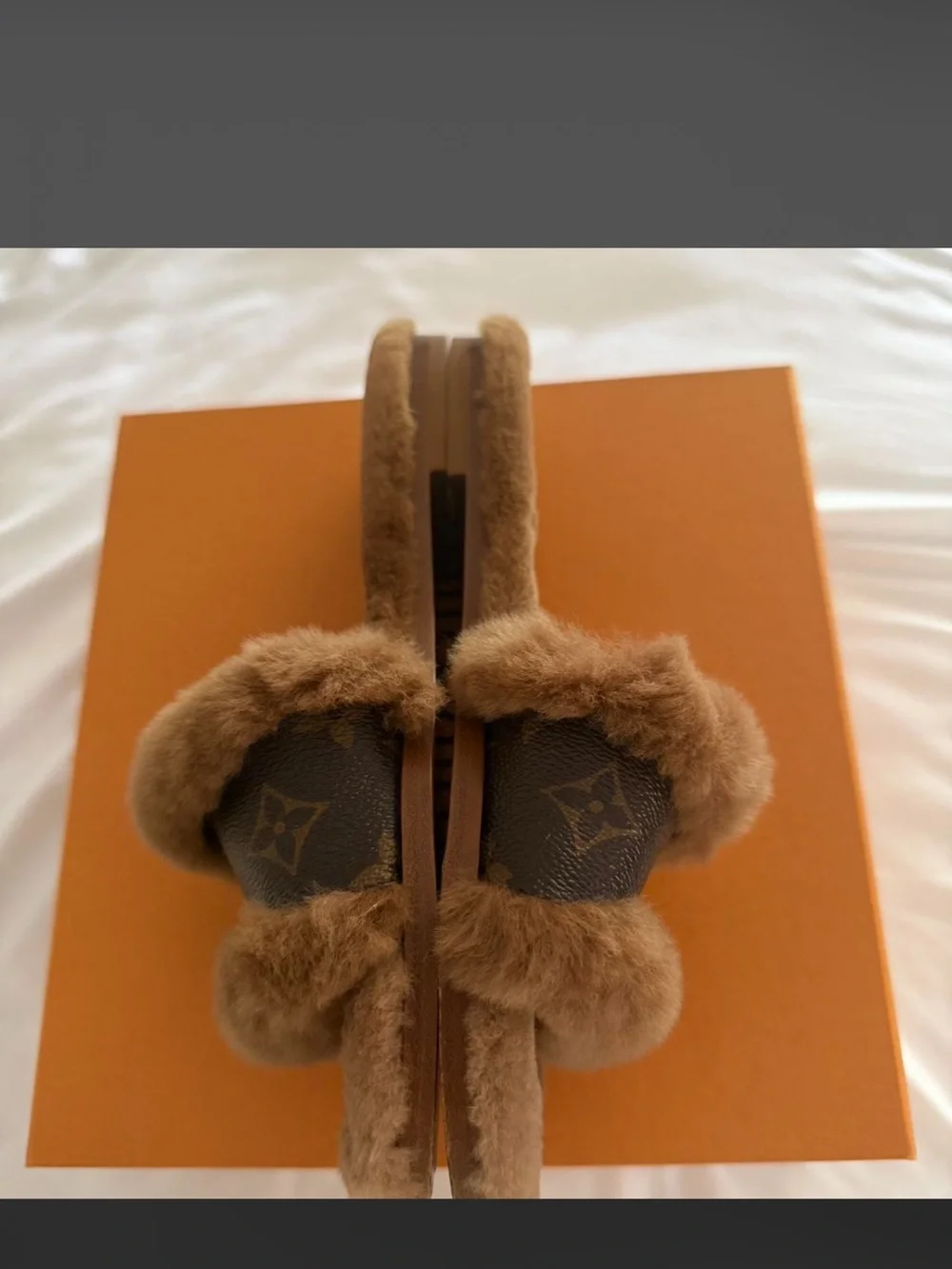 Louis Vuitton monogram canvas